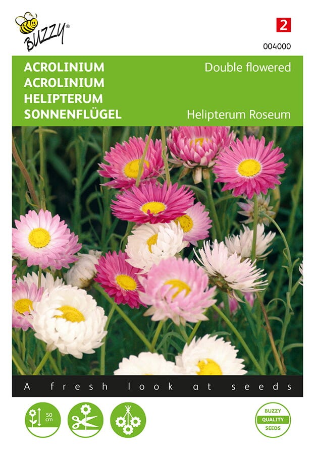 Acroclinium dubbelbloemig gemengd