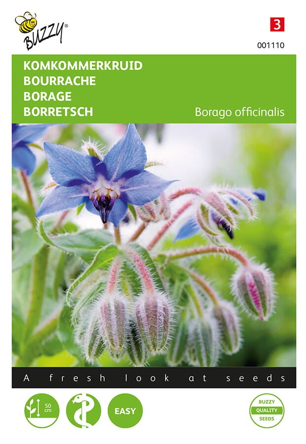 Komkommerkruid (Borago officinalis)