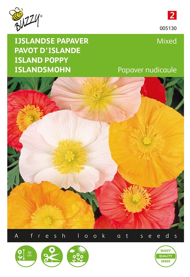 Papaver, IJslandse Excelsior gemengd