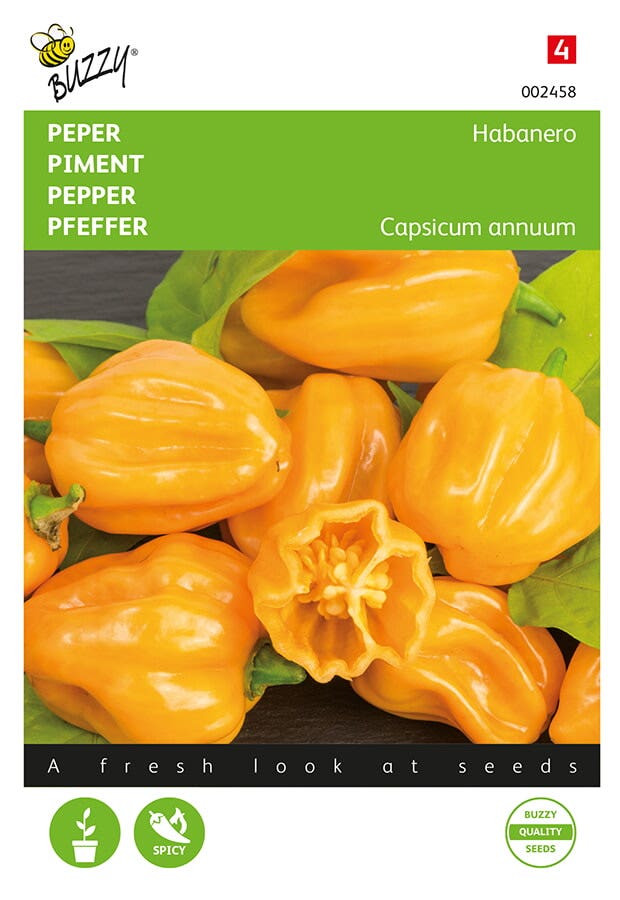 Peper Habanero oranje