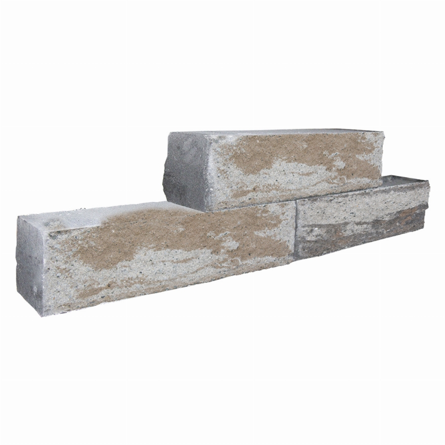 Rockstone 60x12x15cm mosselkalk