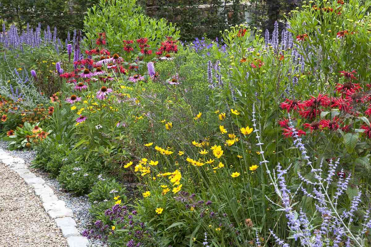 Borderpakket Vlindertuin (4,5 M²)