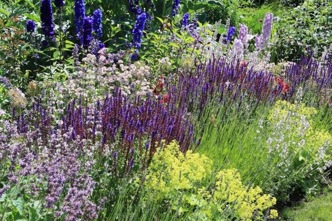 Borderpakket Zomer in Blauw en Groengeel (4,5 M²)