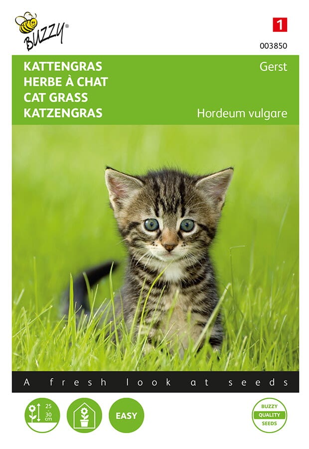 Kattengras Gerst