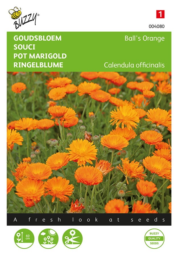 Goudsbloem (Calendula 'Ball’s Orange')