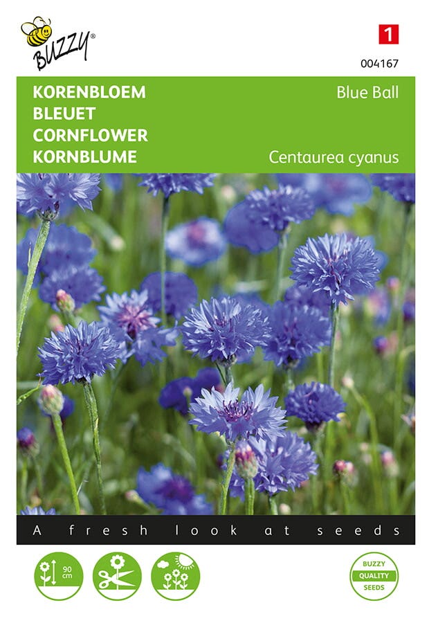 Korenbloem ( Centaurea cyanus'Blue Ball')