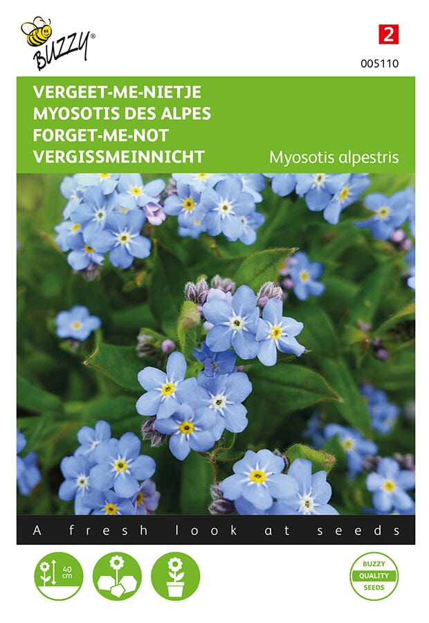 Vergeet-me-nietje ( Myosotis alpestris 'blauw')