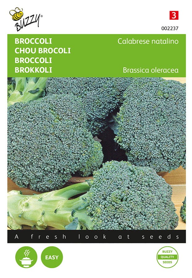 Broccoli Calabrese natalino, groen