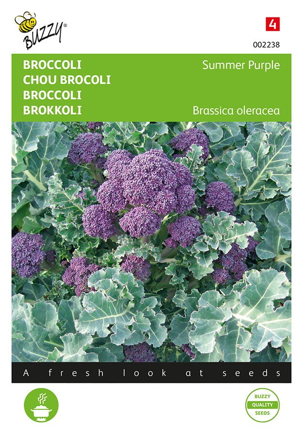 Broccoli Summer Purple