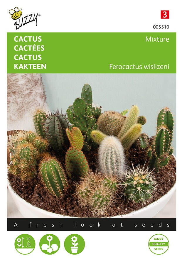 Cactusmengsel ( Ferocactus wislizeni)