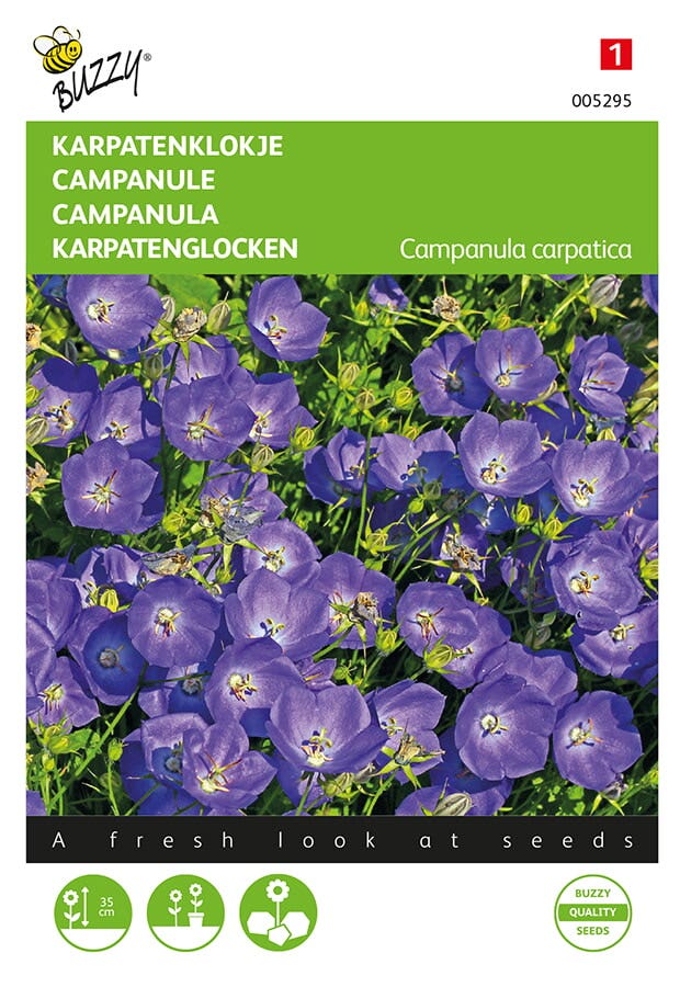 Karpatenklokje (Campanula carpatica 'Blauw')