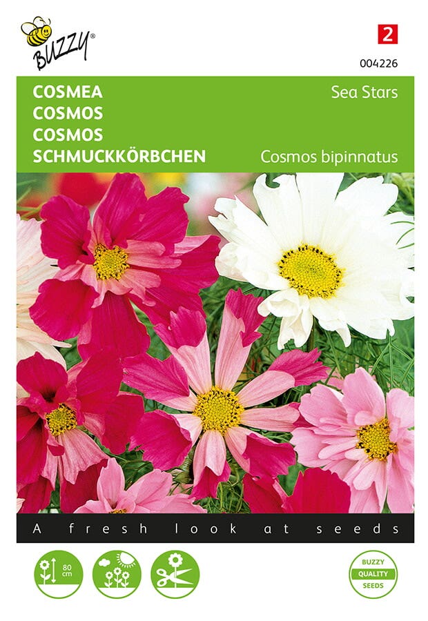 Cosmos, Cosmea Sea Stars gemengd