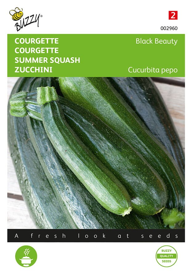 Courgette Black Beauty - Verte De Milan