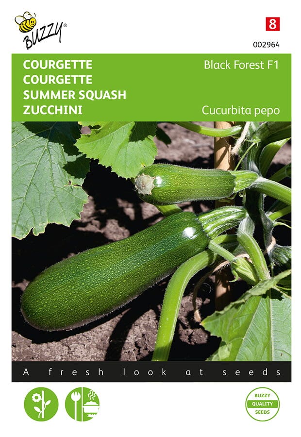 Courgette Klimmend Black Forest F1