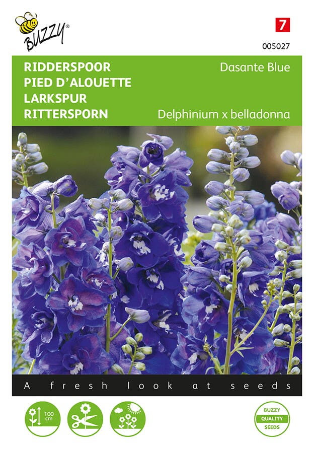 Ridderspoor ( Delphinium belladonna 'Dasante Blue')