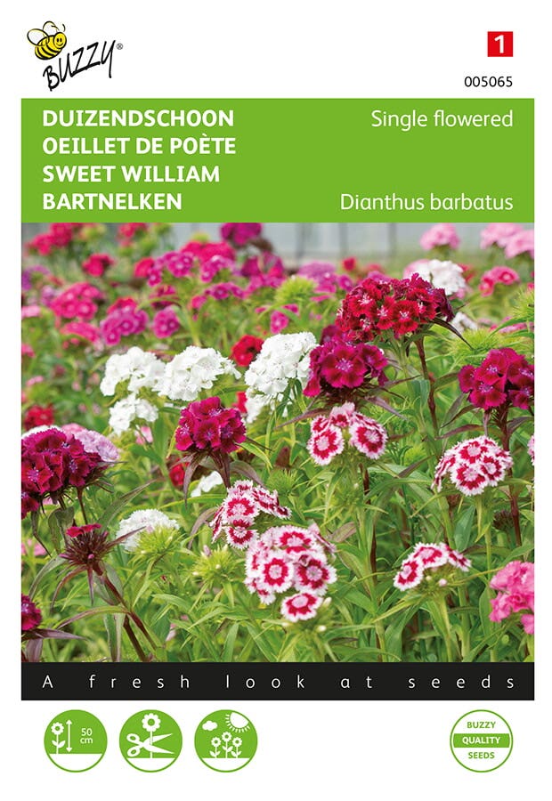 Dianthus, Duizendschoon enkelbloemig gemengd