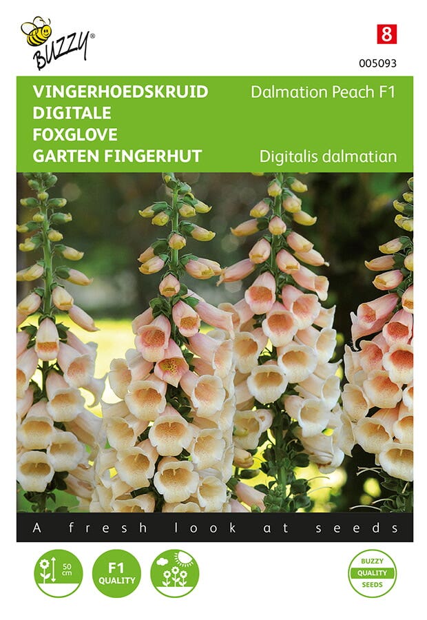 Vingerhoedskruid ( Digitalis dalmatian 'Dalmation Peach')