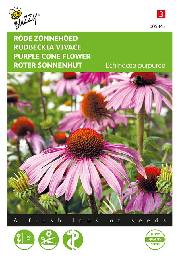 Zonnehoed (Echinacea purpurea 'rode')