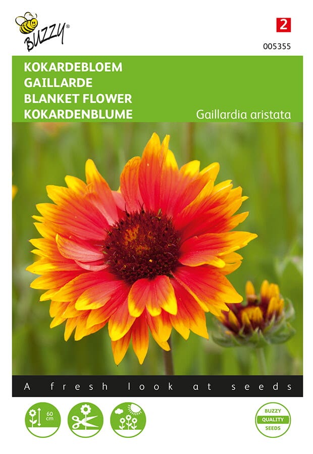 Kokardebloem (Gaillardia aristata)