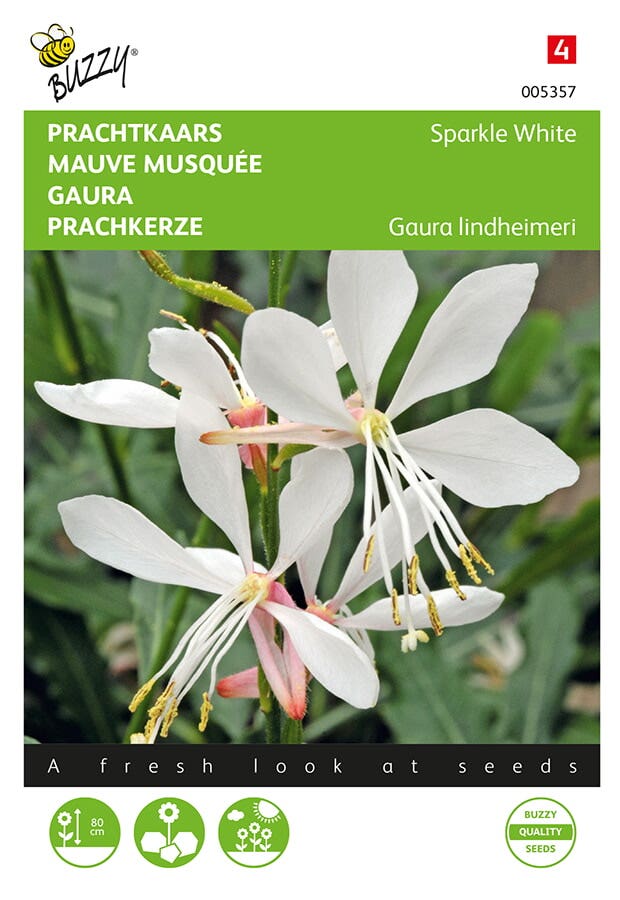 Prachtkaars (Gaura lindheimeri 'Sparkle White')