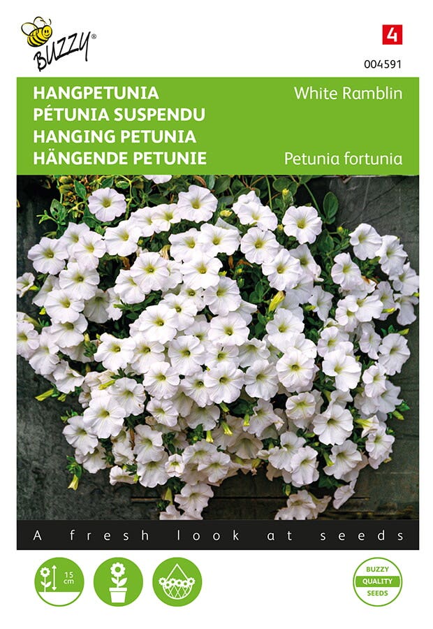 Hangpetunia (Petunia fortunia 'White Ramblin')