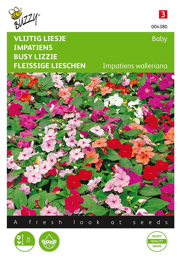 Impatiens, Vlijtig Liesje Baby gemengd