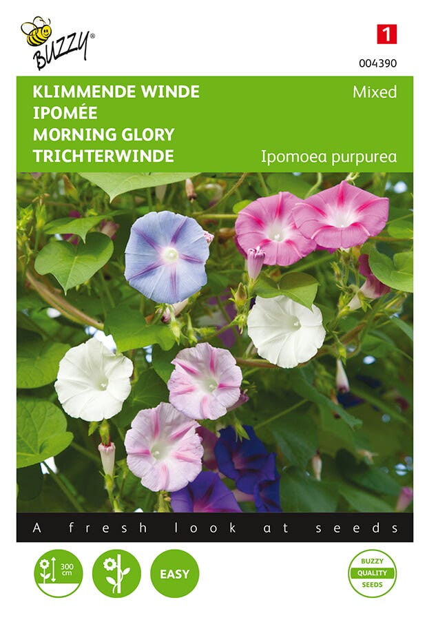 Ipomoea, Klimmende winde gemengd