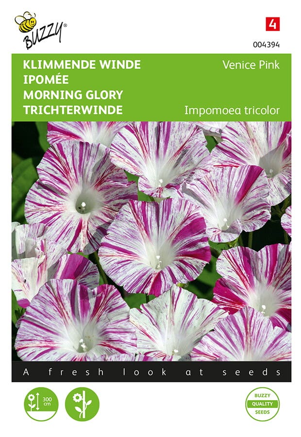 Klimmende winde (Ipomoea tricolor 'Venice Pink')