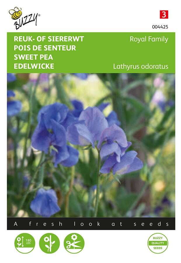 Reuk of siererwt (Lathyrus odoratus 'Royal Family Blauw')