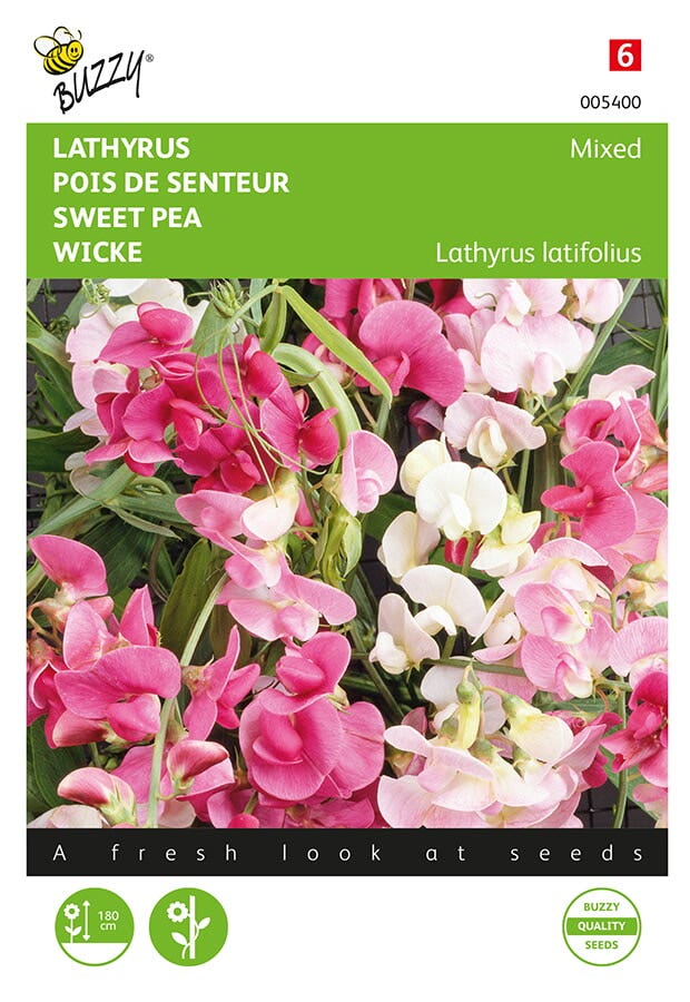 Lathyrus, Sier- of Reukerwt meerjarig