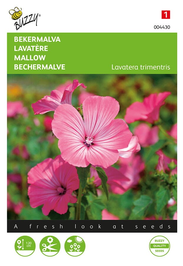 Bekermalva (Lavatera trimestris 'Roze/Rood')