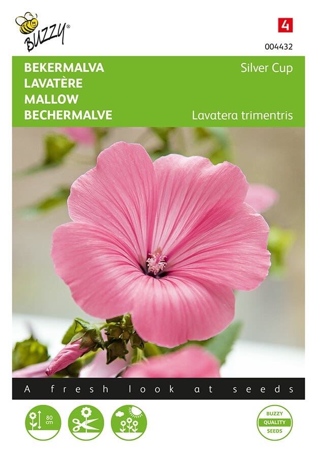 Bekermalva (Lavatera trimestris 'Silver Cup')