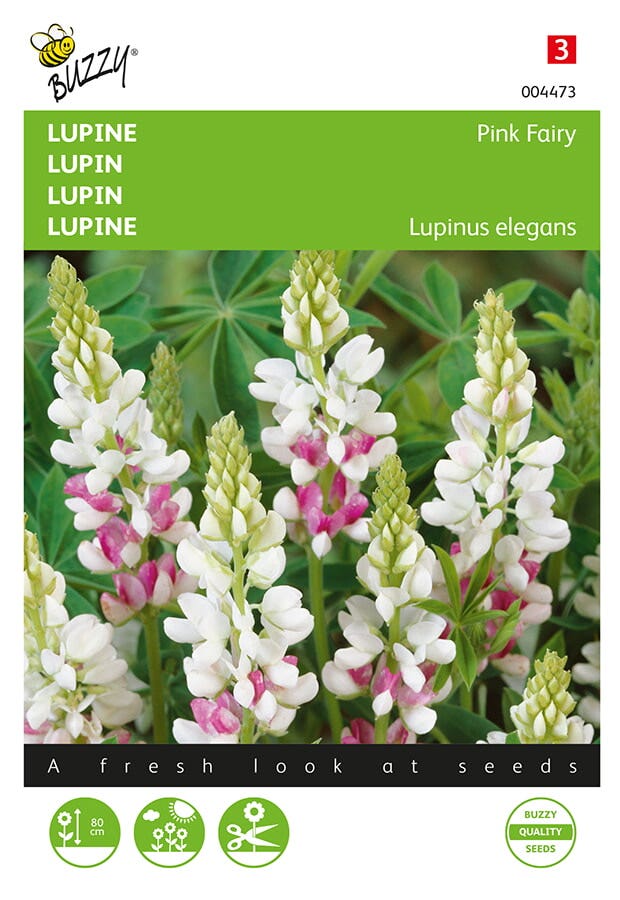 Lupine (Lupinus elegans 'Pink Fairy')