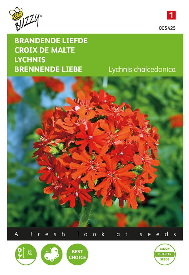 Brandende Liefde (Lychnis chalcedonica)