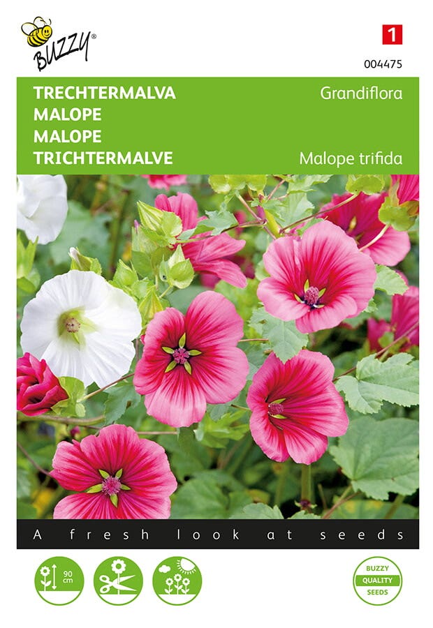 Malope, Trechtermalva Grandiflora gemengd