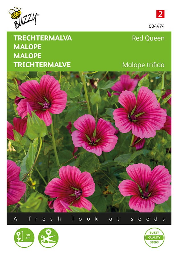 Trechtermalva (Malope trifida 'Red Queen')