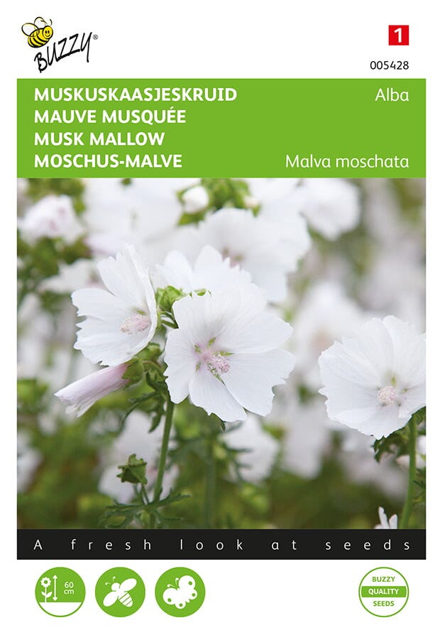 Muskuskaasjeskruid ( Malva moschata 'Alba wit')