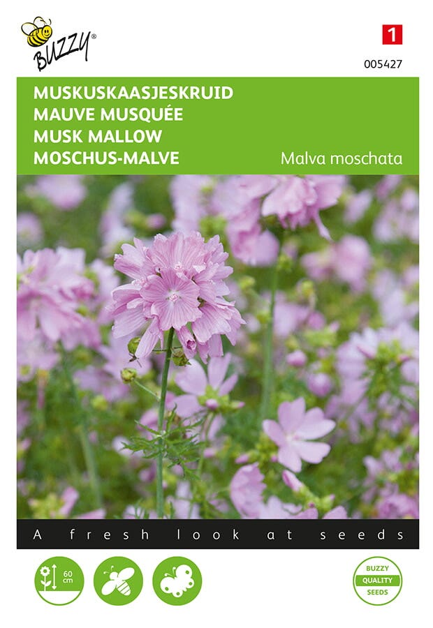 Muskuskaasjeskruid (Malva moschata 'roze')