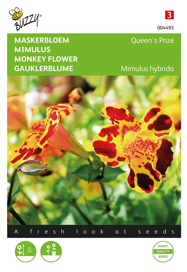 Maskerbloem (Mimulus hybrida 'Queen’s Prize')