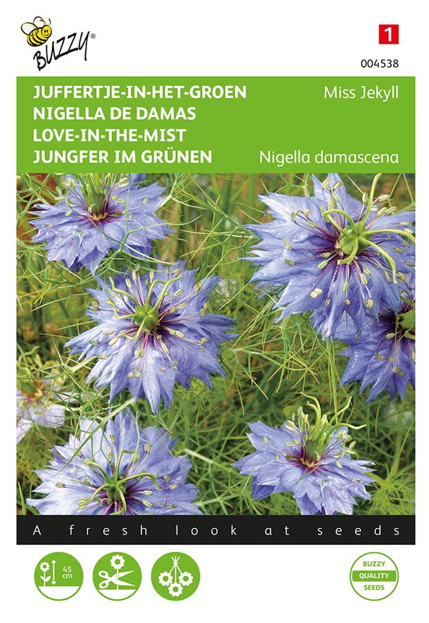 Juffertje-in-het-groen (Nigella damascena 'Miss Jekyll blauw')