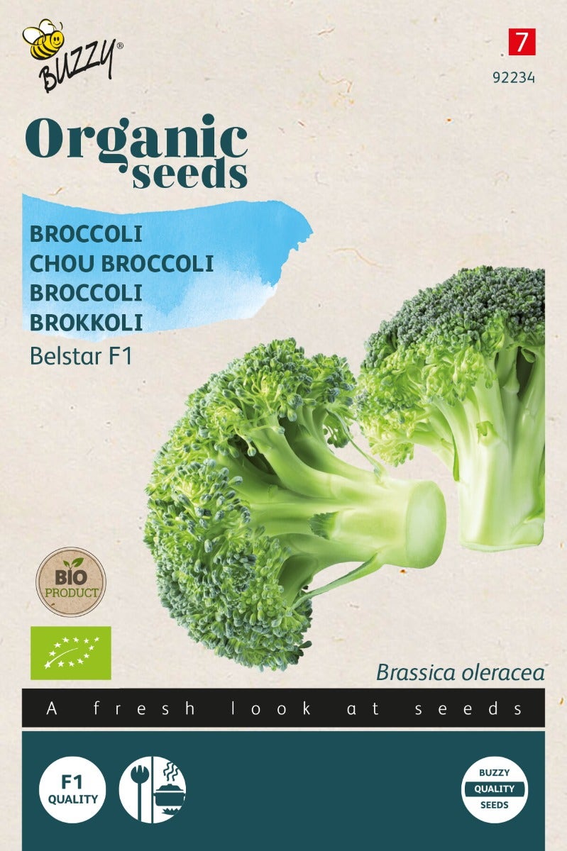 Broccoli Belstar F1 (BIO)