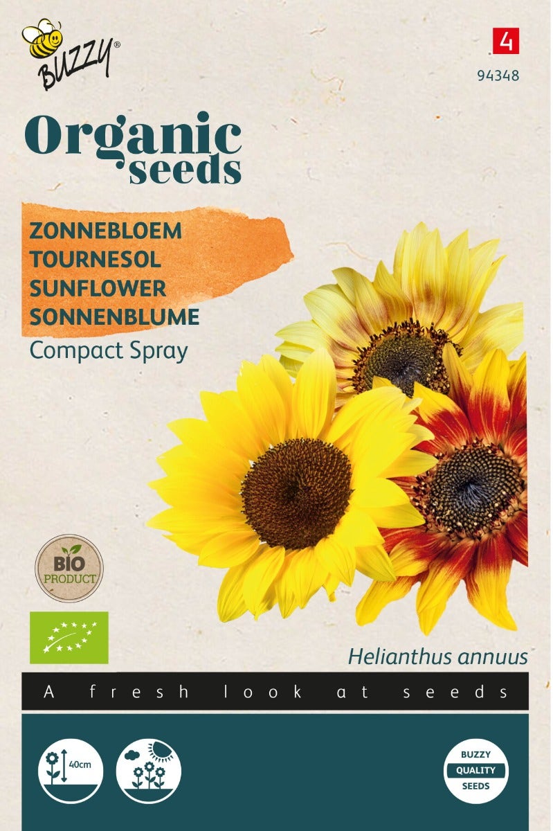 Zonnebloem (Helianthus annuus'Compact Spray')(BIO)