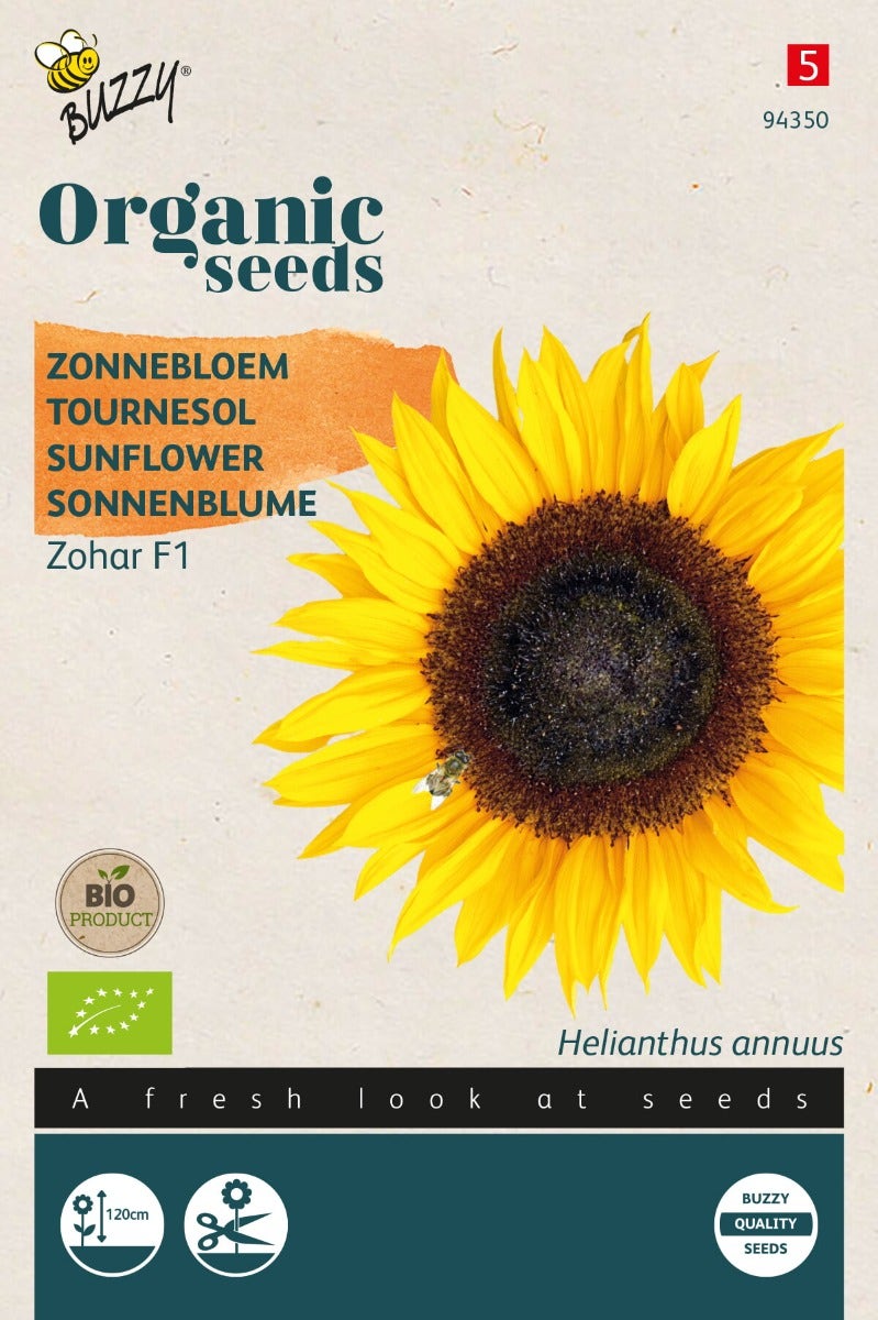 Zonnebloem (Helianthus 'Zohar F1')(BIO)