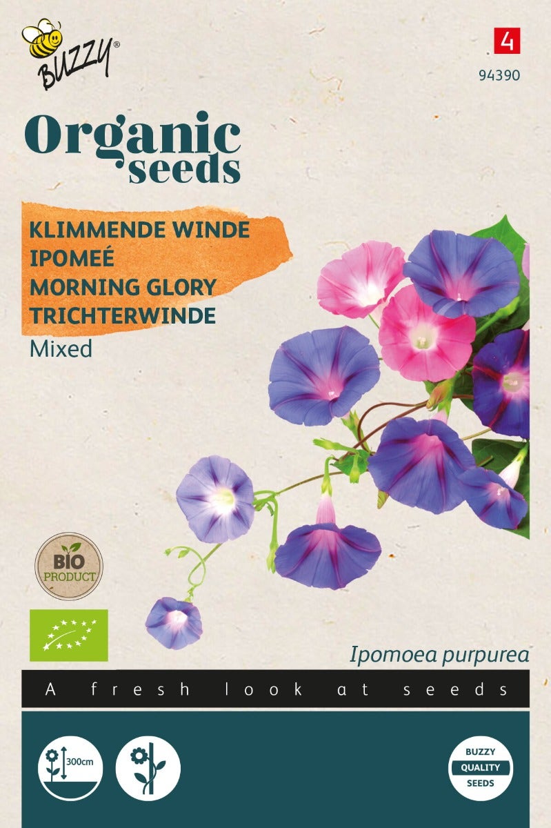 Klimmende Winde ( Ipomoea 'purpurea')  (BIO)