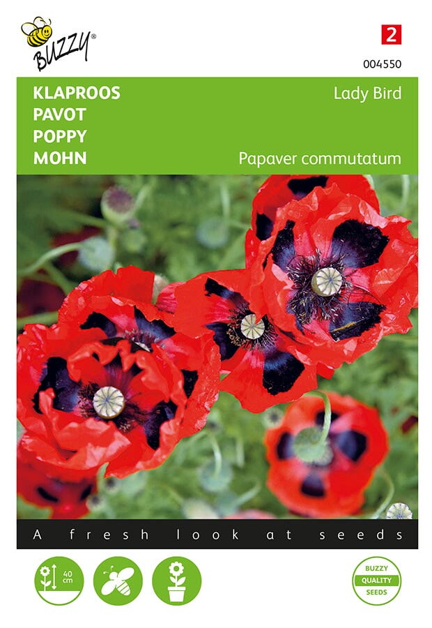 Klaproos (Papaver commutatum 'Lady Bird')