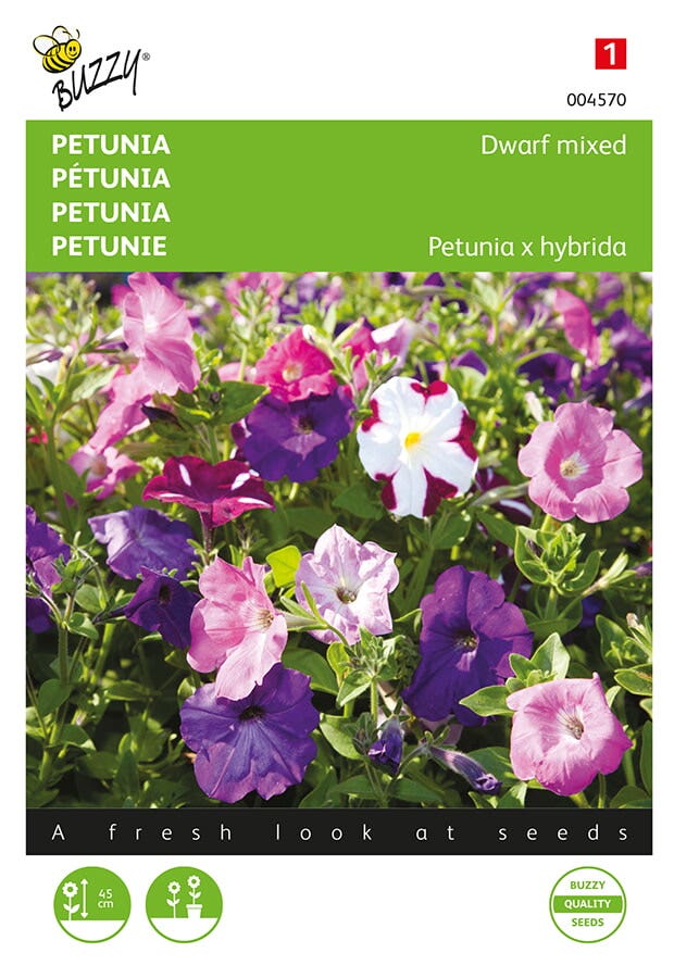 Petunia laag gemengd