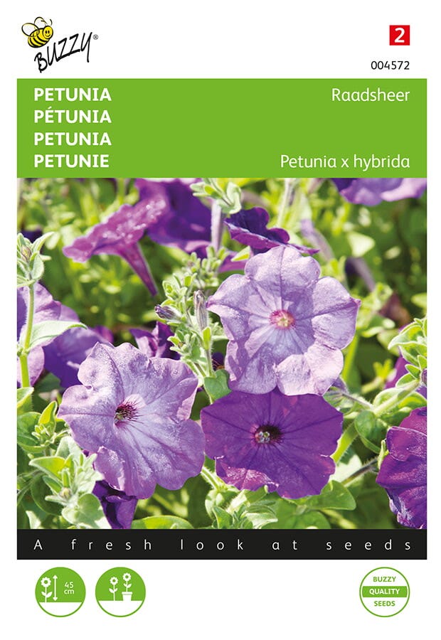 Raadsheer (Petunia hybrida 'blauw')