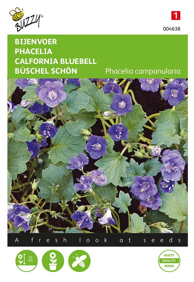 Bijenvoer (Phacelia campanularia)