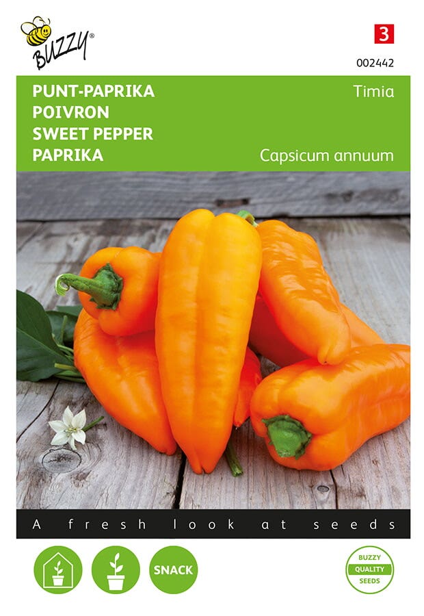 Punt-Paprika Timia, Oranje