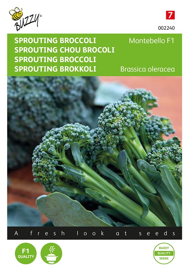 Sprouting Broccoli Montobello F1